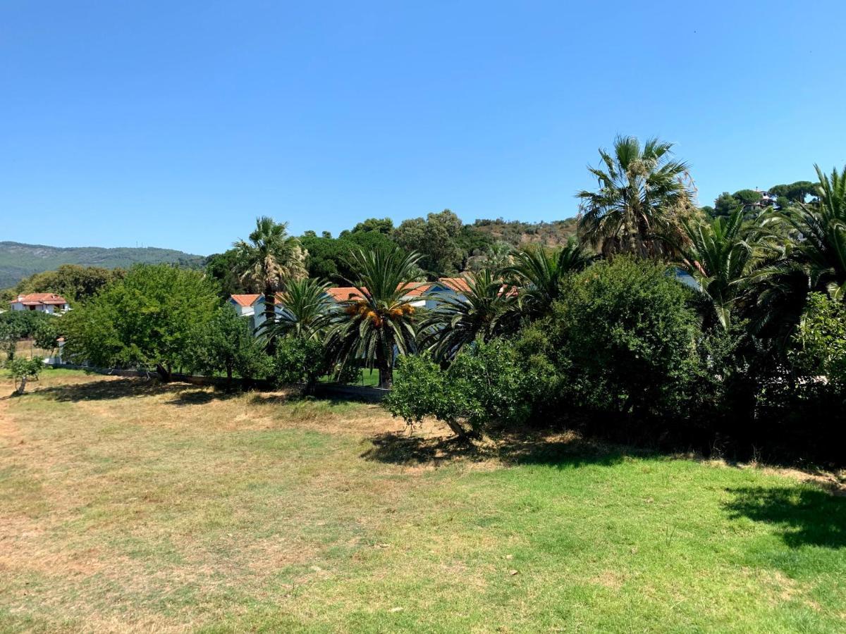 Villas Alexandra Skiathos Platanias  Ngoại thất bức ảnh