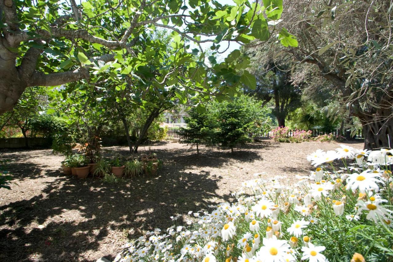 Villas Alexandra Skiathos Platanias  Ngoại thất bức ảnh