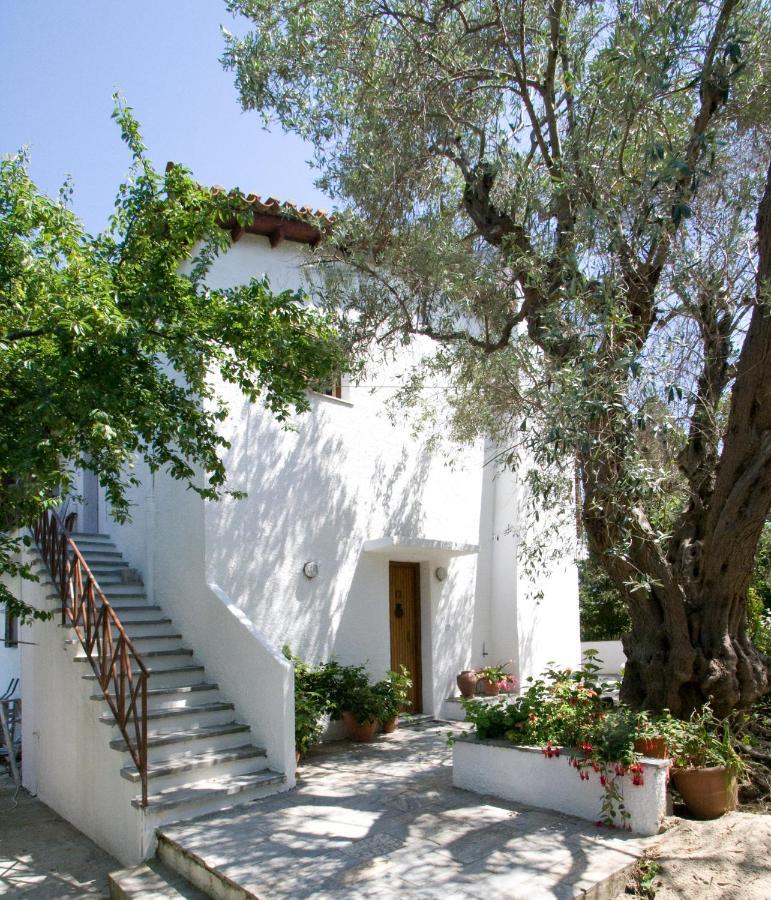 Villas Alexandra Skiathos Platanias  Ngoại thất bức ảnh